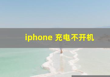 iphone 充电不开机